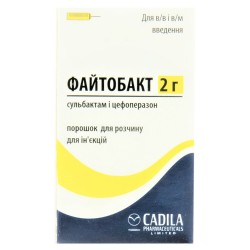 Файтобакт порошок, 1000 мг + 1000 мг, 2 г