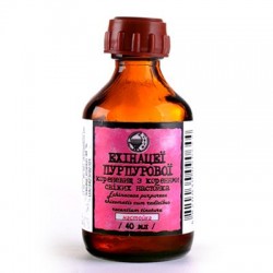 Эхинацеи пурпурной корневищ с корнями свежих настойка, 40 мл