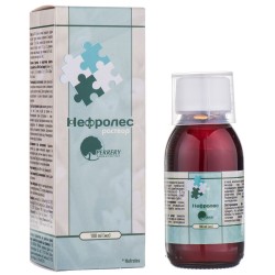 Нефролес раствор для лечения воспалительных заболеваний почек, 100 мл