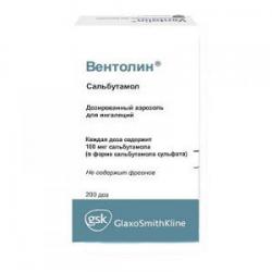 Вентолин Эвохалер аэрозоль 100 мкг 200 доз