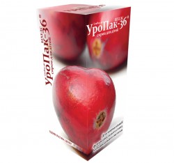 Уропак-36 сироп для детей, 100 мл