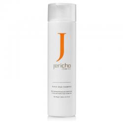 Шампунь Black mud Jericho (черная грязь) 300г 10478