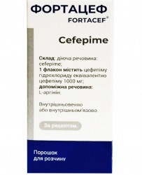 Фортацеф порошок для раствора для инъекций, по 1000 мг во флаконах, 10 шт.