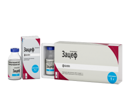 Зацеф 1 г №5 порошок