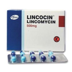Линкоцин 500 мг №20 капсулы