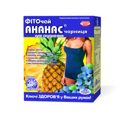 "Ключи Здоровья" 1.5 г N20 фиточай ананас, черника